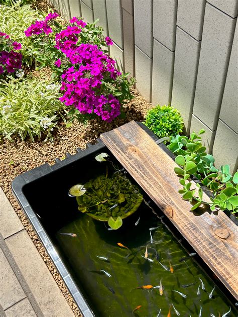 風水 小物 大植栽